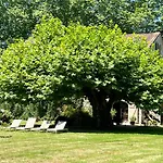 La Felicita Bed and breakfast *