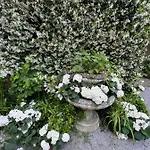 La Felicita Bed and breakfast Saint-Barthelemy (Landes)