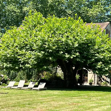 Domaine De La Felicita Couette-café *