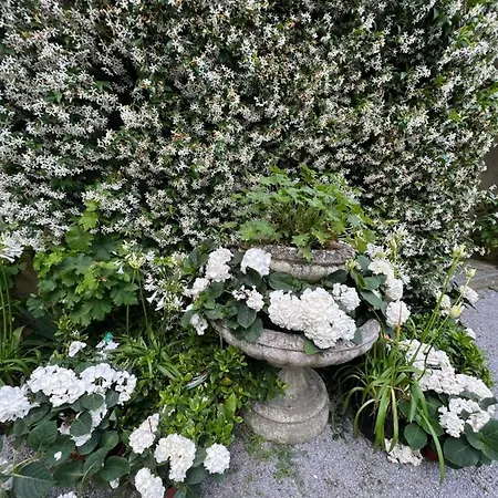 Domaine De La Felicita Bed & Breakfast Saint-Barthelemy (Landes)