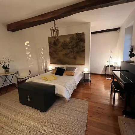 Domaine De La Felicita Bed & Breakfast Saint-Barthelemy (Landes)