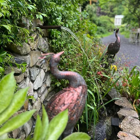 Domaine De La Felicita