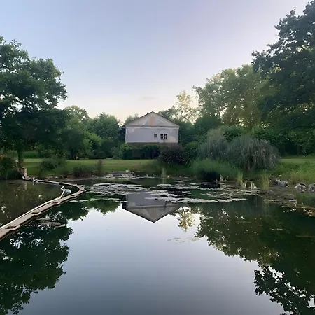 Domaine De La Felicita *